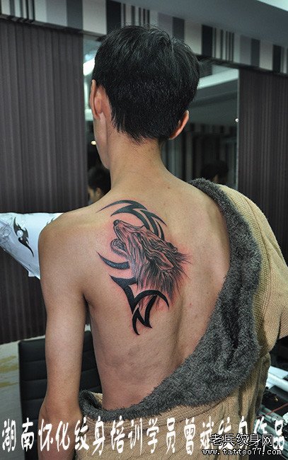 湖南怀化纹身学员曾斌打造的后背狼头实操作品
