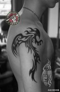 被用来象征祥瑞的大臂图腾凤凰纹身作品