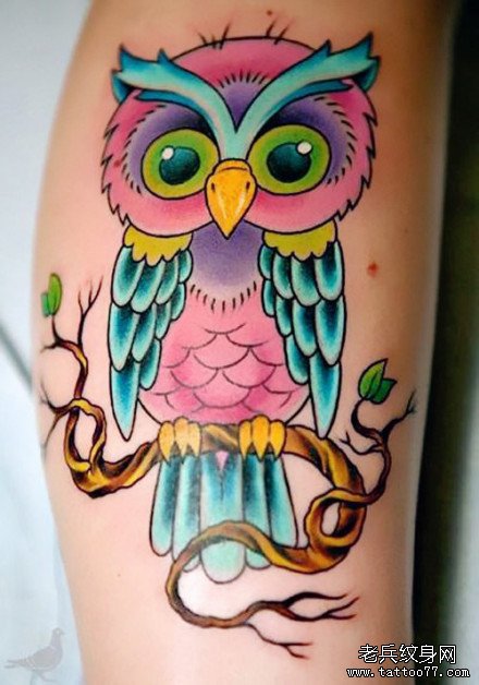 腿部精美的一款猫头鹰纹身图案