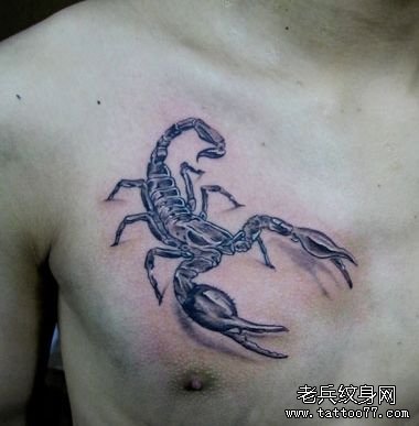 胸部一款帅气的蝎子纹身图案