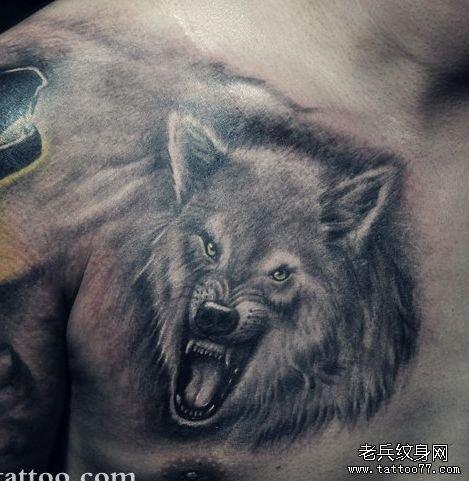 胸部一款霸气的狼头纹身图案_武汉纹身店之家