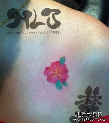 女孩子肩膀处小巧的樱花纹身图案