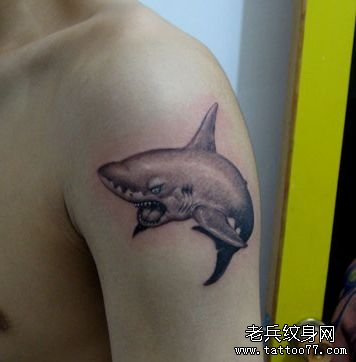 手臂一款帅气的鲨鱼纹身图案