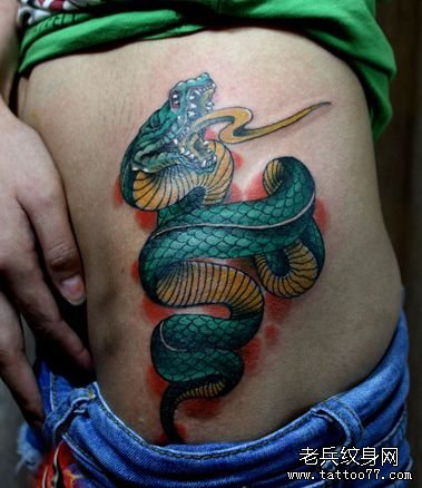 女孩子腹部一款彩色蛇纹身图案