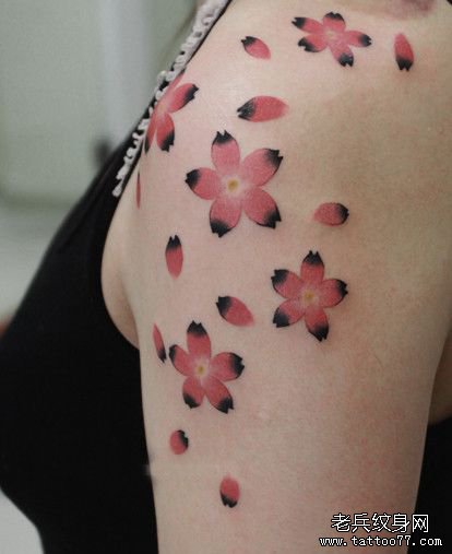 美女手臂精美的彩色樱花纹身图案