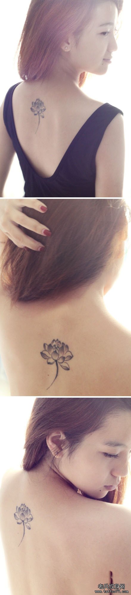 美女背部时尚精美的黑白莲花纹身图案