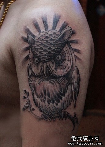 手臂一款呆呆的猫头鹰纹身图案