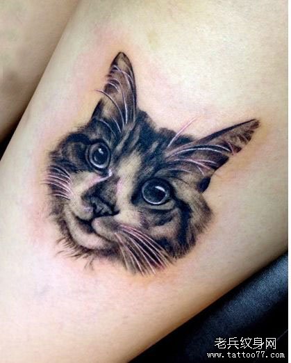 美女腿部猫咪头像纹身图案
