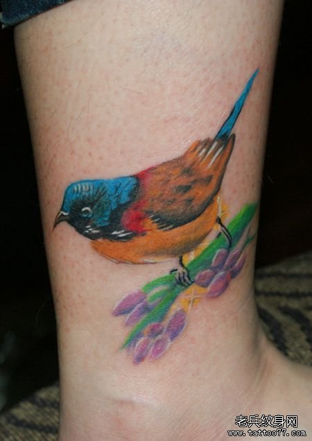 腿部一款彩色的小鸟喜鹊纹身图案