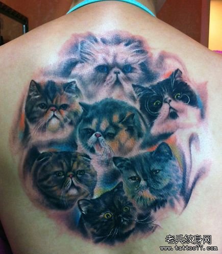 美女背部胖乎乎的猫咪纹身图案