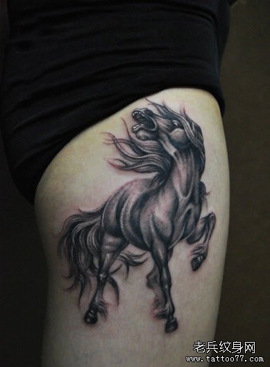 美女腿部帅气的马纹身图案