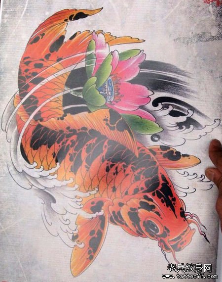 漂亮的彩色鲤鱼与荷花纹身手稿