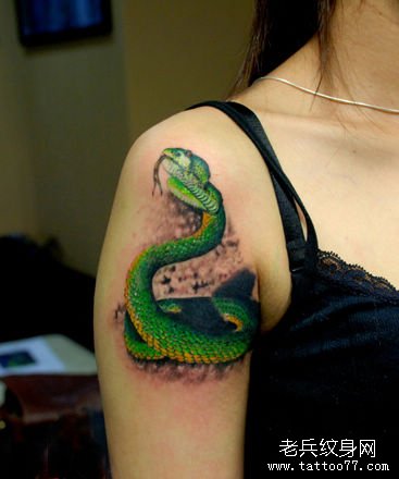 美女手臂艳丽的彩色蛇纹身图案