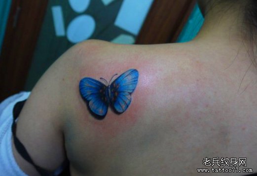 美女肩部漂亮的彩色蝴蝶纹身图案