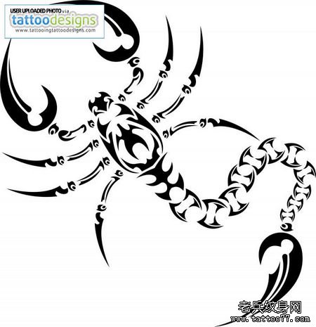 一款好看的图腾蝎子纹身图案