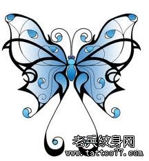 一款好看的图腾蝴蝶纹身手稿