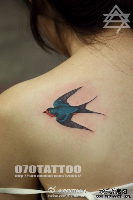女生肩背彩色小燕子纹身图案
