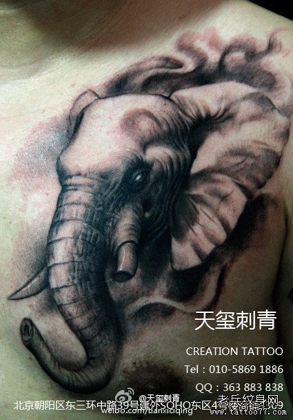 男人前胸凶悍的大象纹身图案