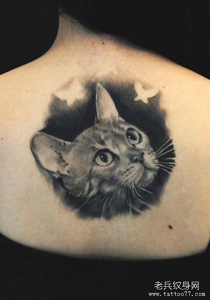 女生背部黑白素描猫咪纹身图案