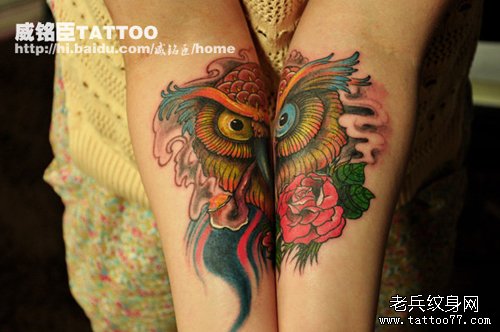 女生手臂经典好看的猫头鹰纹身图案