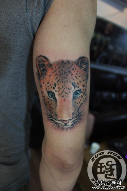 女生手臂好看的豹子纹身图案