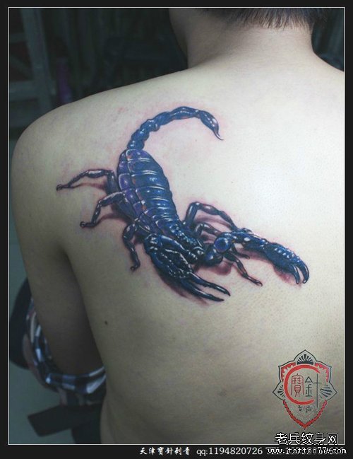 男生肩背经典的蝎子纹身图案