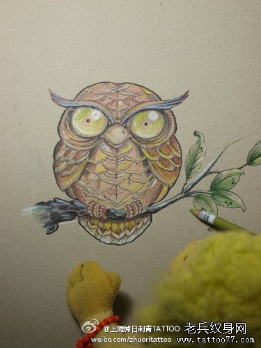 一款可爱的猫头鹰纹身手稿