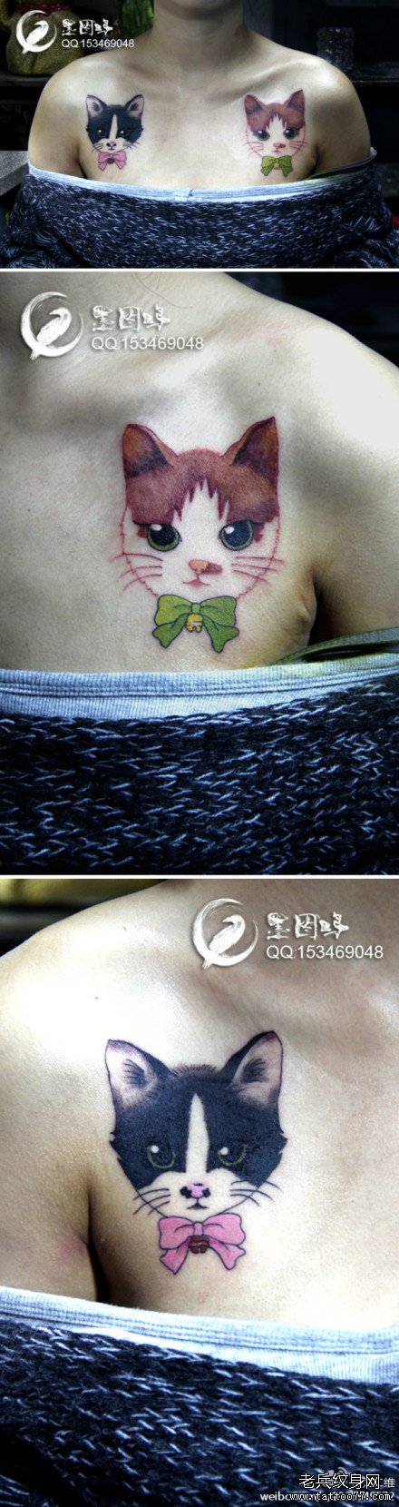 美女肩膀处最新最时尚的猫咪纹身图案