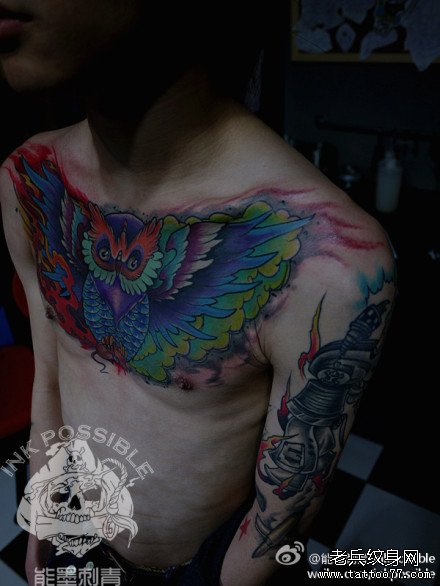 男生前胸超帅的彩色猫头鹰纹身图案