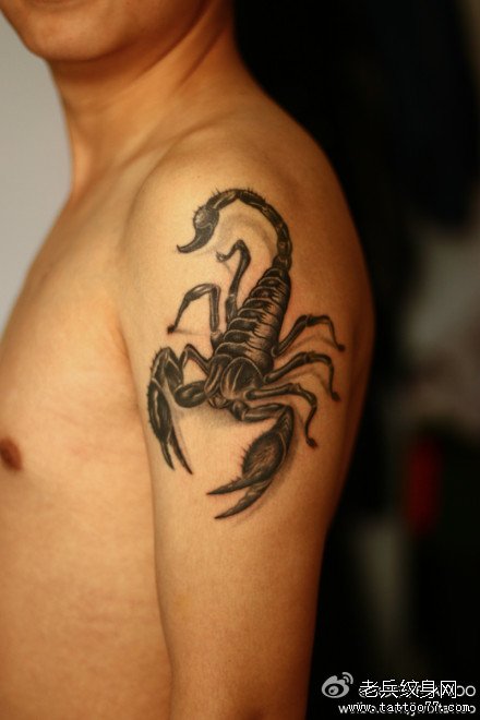 男生手臂时尚经典的蝎子纹身图案