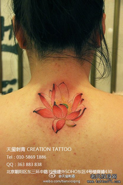 女生后脖子精美漂亮的彩色莲花纹身图案