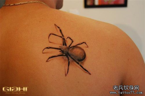 男人背部经典时尚的蜘蛛纹身图案