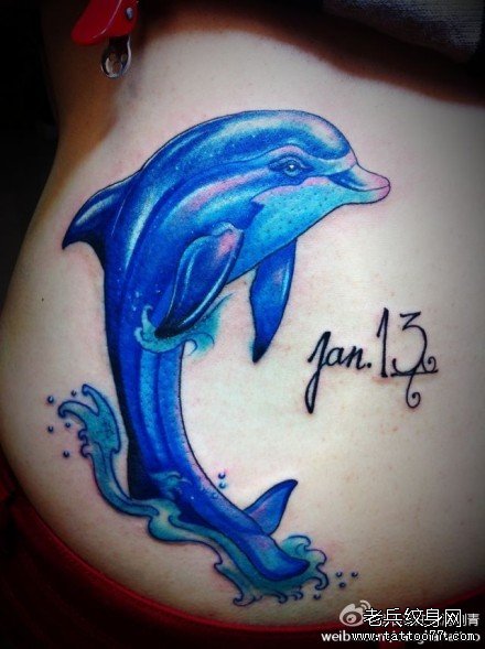 美女腰部漂亮的彩色海豚纹身图案