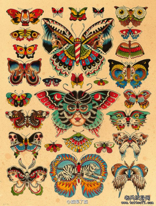 漂亮时尚的一组蝴蝶纹身手稿