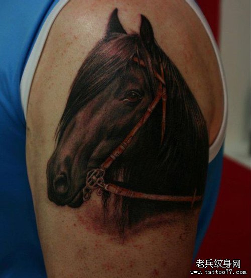 男人手臂帅气时尚的马纹身图案