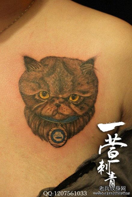 女生胸部呆呆的猫咪纹身图案