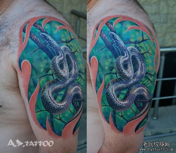 男人手臂精时尚超酷的欧美彩色蛇纹身图案