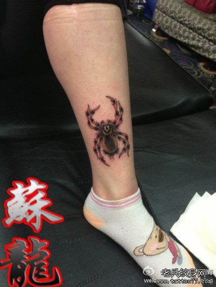 腿部精美时尚的一款彩色蜘蛛纹身图案