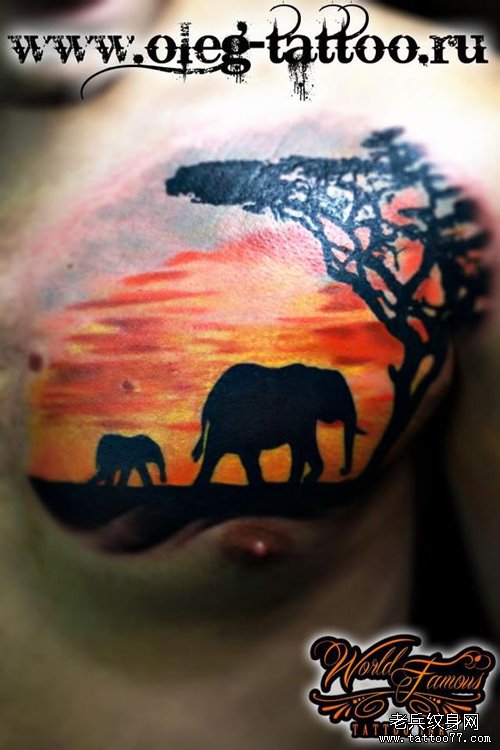 男人胸部超酷的大象纹身图案