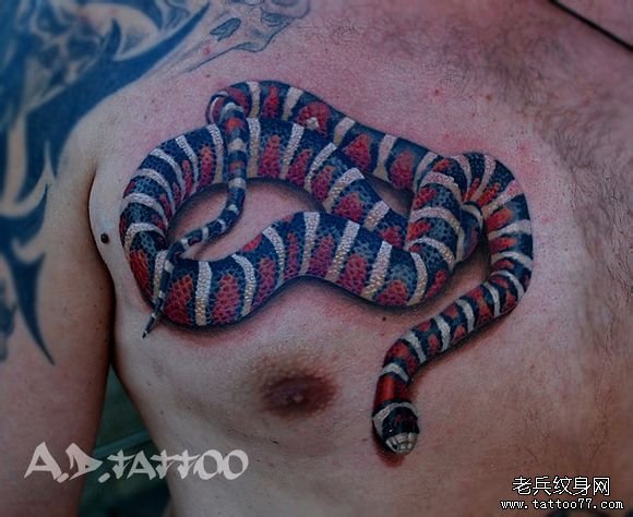 男人前胸精美帅气的欧美彩色蛇纹身图案
