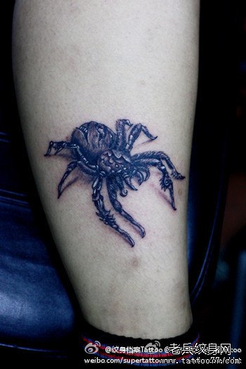 男人腿部帅气经典的蜘蛛纹身图案_武汉纹身店