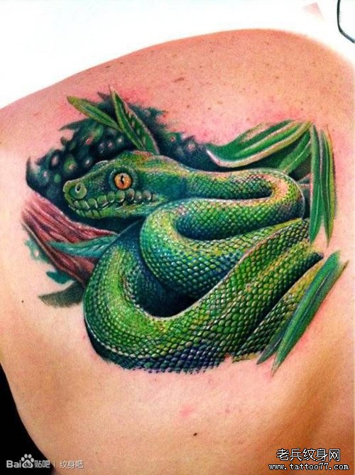 男人肩背精美的欧美3D彩色蛇纹身图案