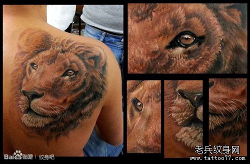 男生肩背帅气超酷的彩色狮头纹身图案
