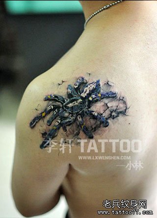 男生肩背超酷的蜘蛛纹身图案