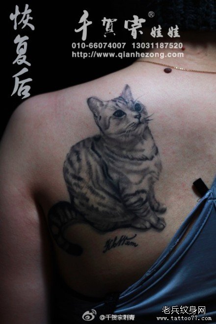 女生背部时尚可爱的猫咪纹身图案