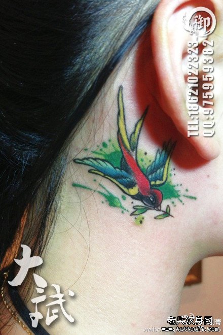 女生耳部漂亮的彩色小燕子纹身图案