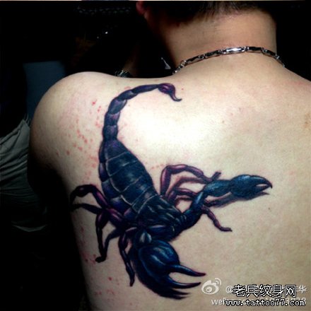 男人肩背超酷的蝎子纹身图案