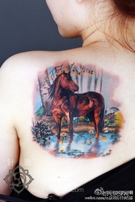 女生后背经典的欧美彩色马纹身图案