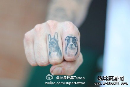 手指可爱的小狗纹身图案