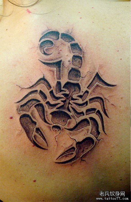 一款时尚经典的石裂烙印蝎子纹身图案